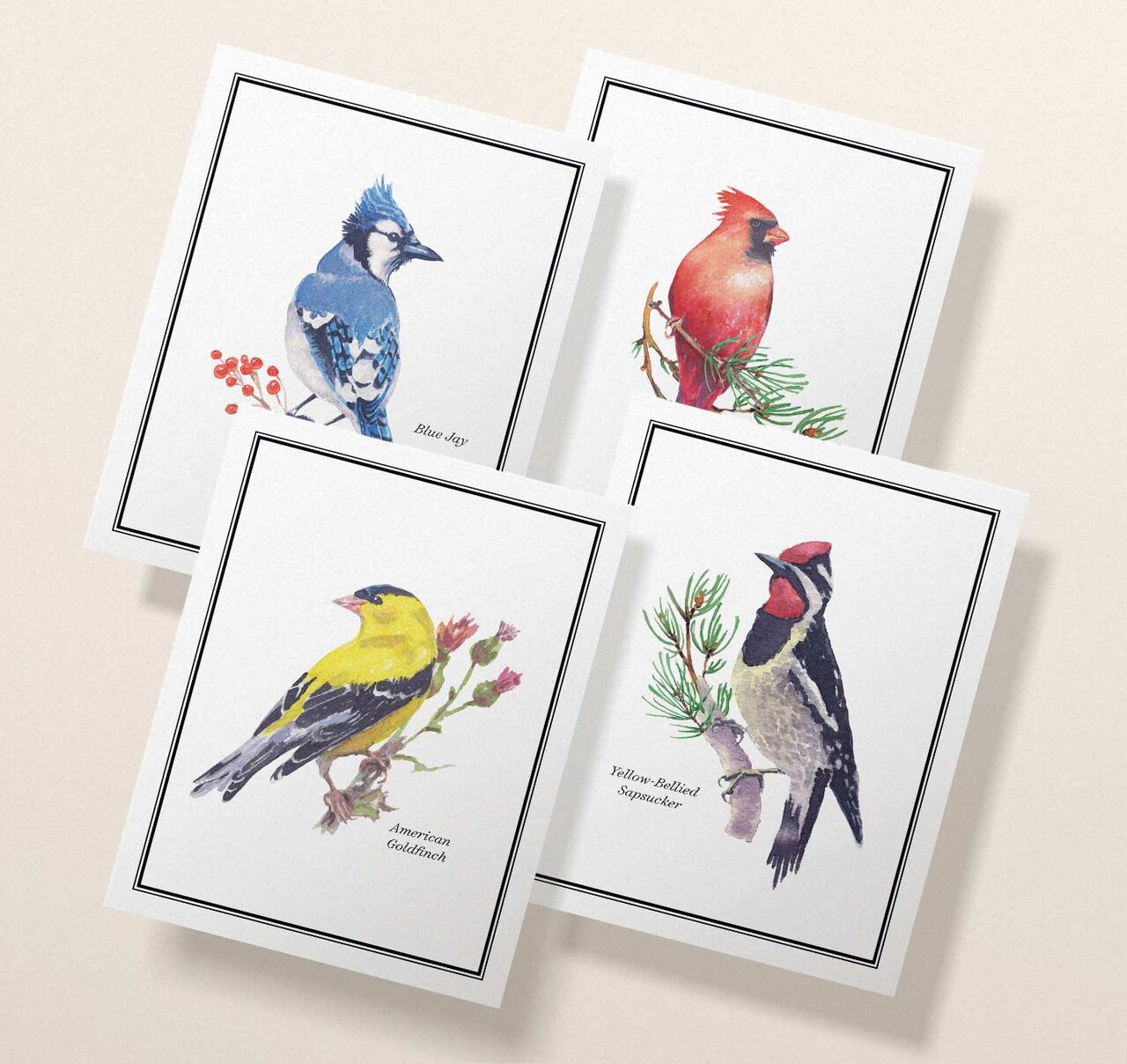 Watercolor Birds Greeting Cards | Bird Watching Cards | Cardinal Card| Blue Jay Card | Birds Card Set | Birds Names Cards | Bird Identification